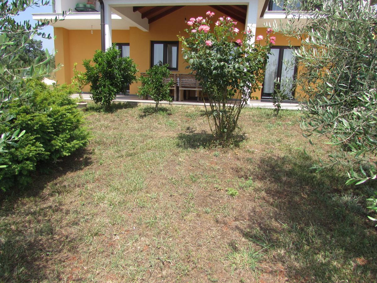 Apartments Goga Umag Exteriör bild